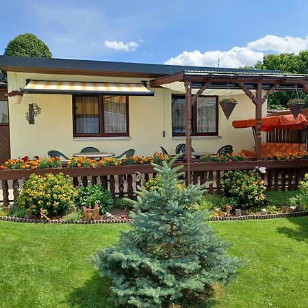Ferienwohnung-Ullmann Ehrenfriedersdorf Ngoại thất bức ảnh